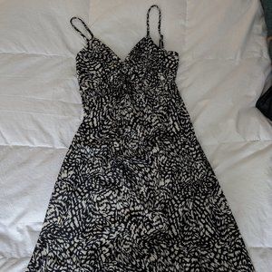 Zebra Dress